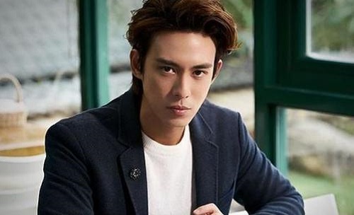 陈楚河黄金单身汉