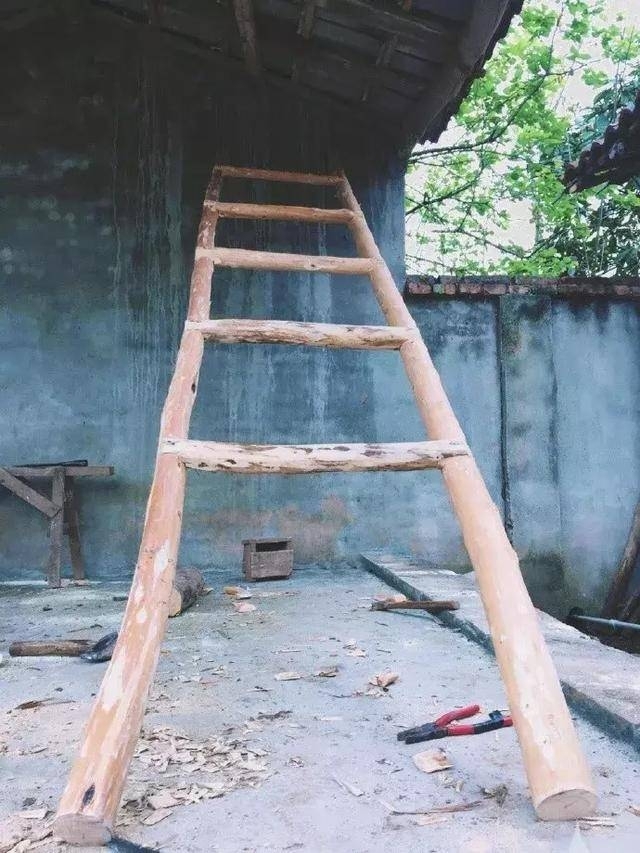 马来西亚总统亲自邀请 她堪称网红界的“华人之光”