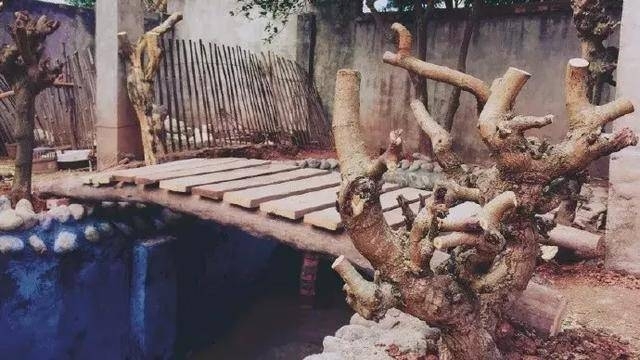 马来西亚总统亲自邀请 她堪称网红界的“华人之光”