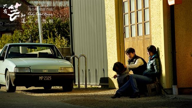 《只有芸知道》微博抖音屡上热搜引热议 黄轩杨采钰病床分离演哭冯小刚