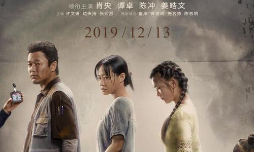 这次的电影误杀是由肖央和谭卓主演的，而陈冲因为是老戏骨的原因，