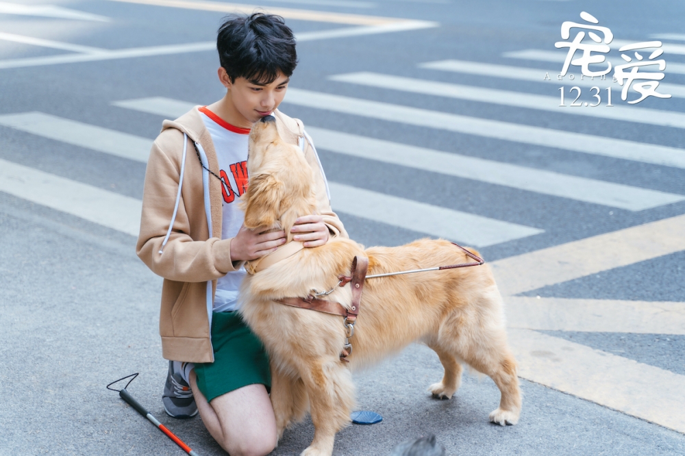 《宠爱》曝“守护”版预告 张子枫当吴磊的眼睛