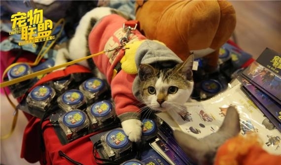 《宠物联盟》主题观影场来袭!萌娃萌宠齐出动“连萌”乐翻天