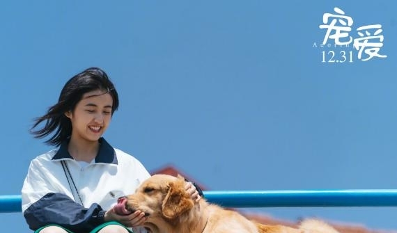 电影《宠爱》累计票房破六亿 张子枫少年形象温暖纯真