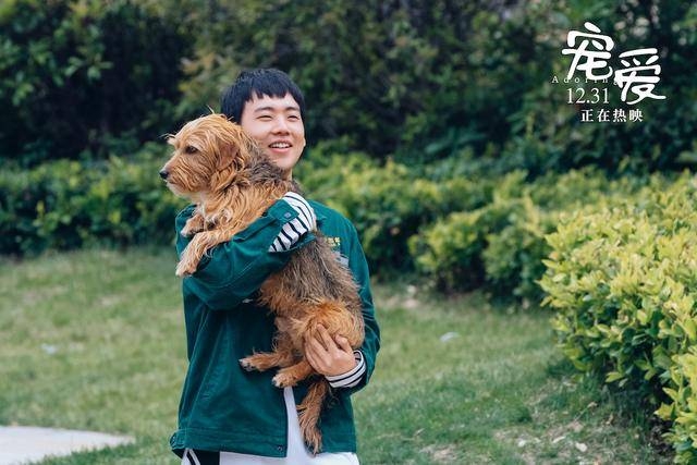 《宠爱》票房6.6亿！郭麒麟和狗狗培养感情秘诀曝光
