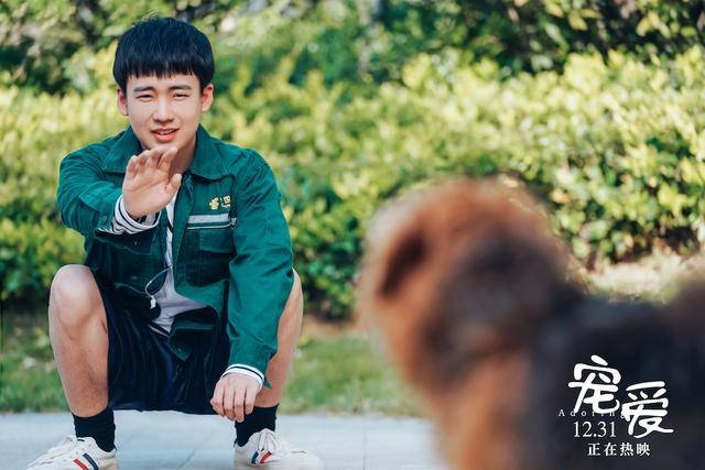 《宠爱》票房6.6亿！郭麒麟和狗狗培养感情秘诀曝光