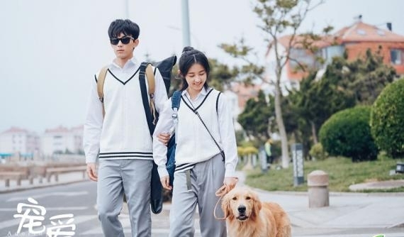 张子枫新片《宠爱》温暖有加 票房勇破四亿大关