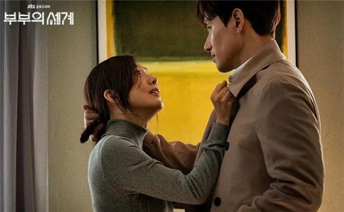 夫妻的世界剧情介绍