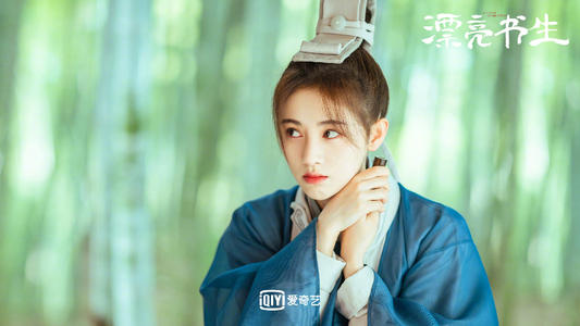 漂亮书生演员表