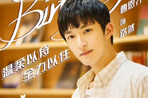 二十不惑演员表