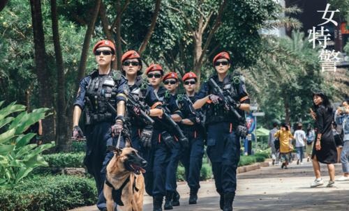 女特警演员表