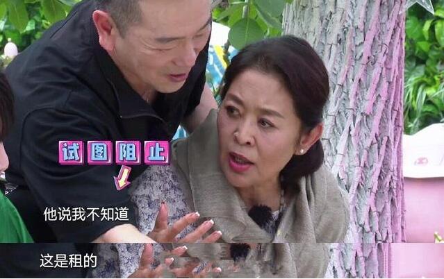 倪萍吐槽张晨光