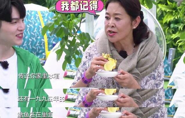 倪萍吐槽张晨光冰箱