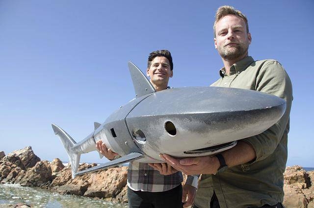 BBC《不可思议的动物》将上线 德云社相声演员超强阵容配音