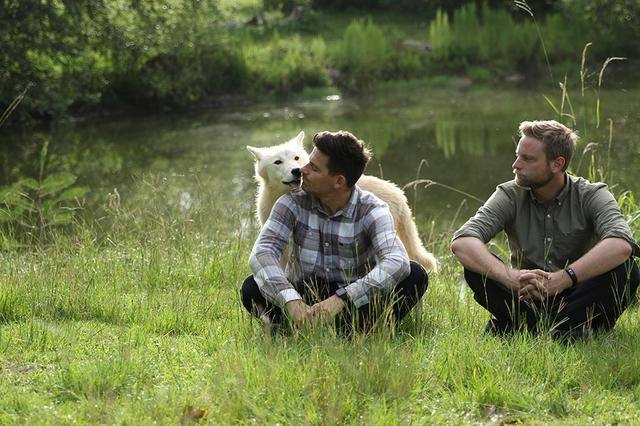 BBC《不可思议的动物》将上线 德云社相声演员超强阵容配音