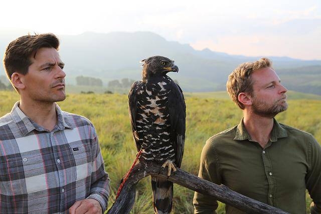 BBC《不可思议的动物》将上线 德云社相声演员超强阵容配音