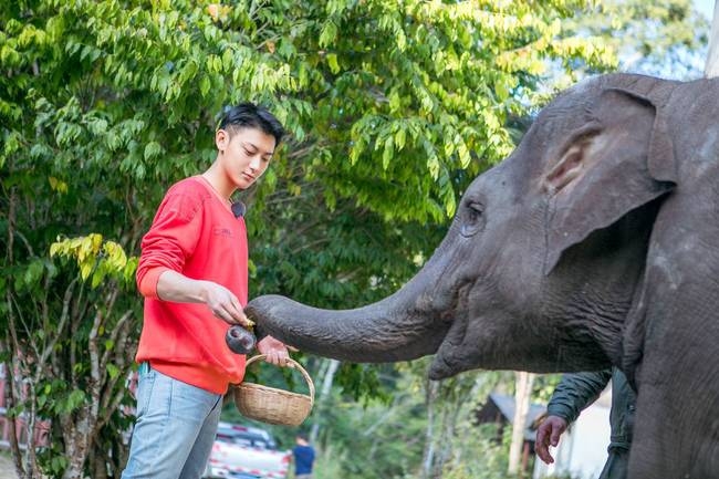 《小小的追球》收官 发起人黄子韬写歌《心愿》诉心声   