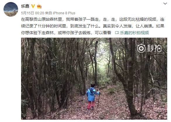 乐嘉43岁生日晒僧衣照 网友劝其不要出家