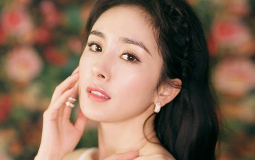 杨幂鳄鱼没有心