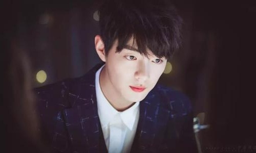 肖战发声回应此事