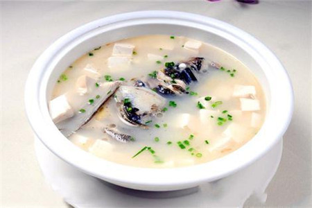 青鱼豆腐汤