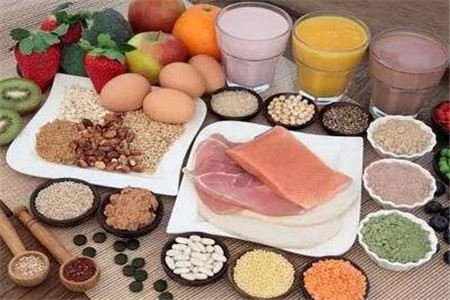 蛋白质食物
