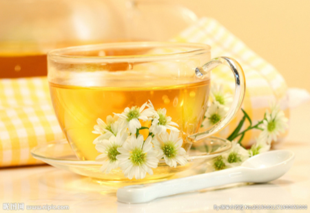 经期可以喝菊花茶吗？ 