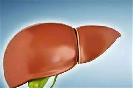 四个造成脂肪肝的常见原因